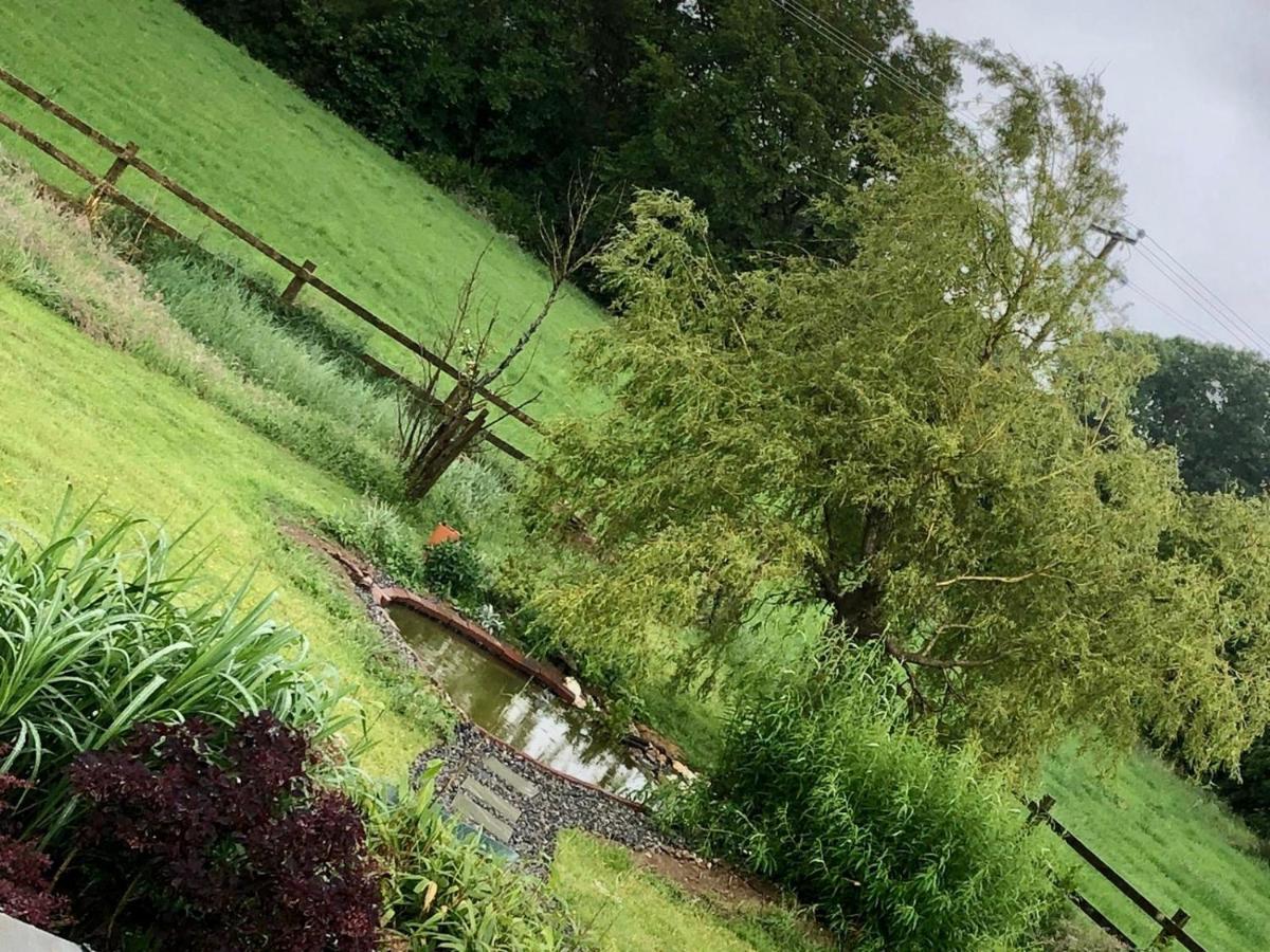 Tobernaglough Wexford Pet Friendly Country B&B Ramsgrange Екстер'єр фото