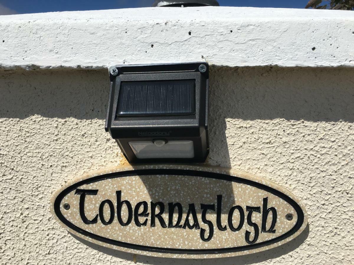 Tobernaglough Wexford Pet Friendly Country B&B Ramsgrange Екстер'єр фото