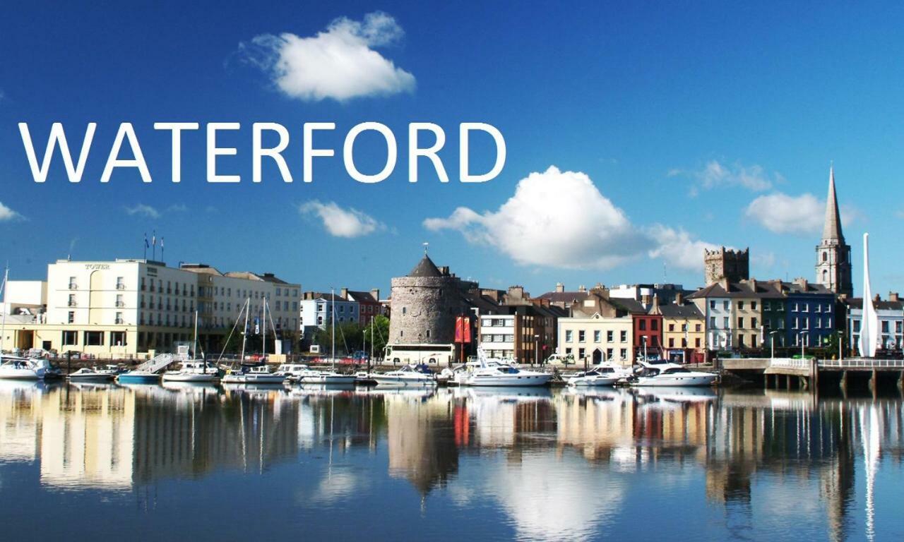 Tobernaglough Wexford Pet Friendly Country B&B Ramsgrange Екстер'єр фото