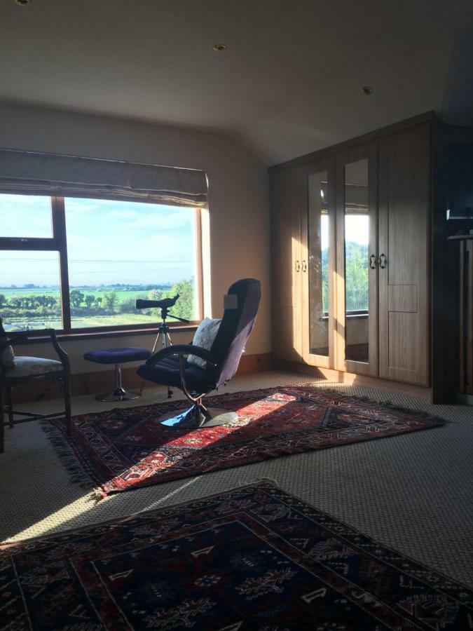 Tobernaglough Wexford Pet Friendly Country B&B Ramsgrange Екстер'єр фото