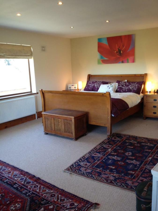 Tobernaglough Wexford Pet Friendly Country B&B Ramsgrange Екстер'єр фото